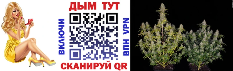 где купить наркотик  Красный Сулин  Бошки Шишки индика 